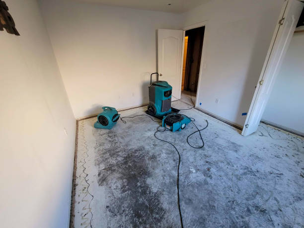 Best Water damage restoration process  in Maryland City, MD