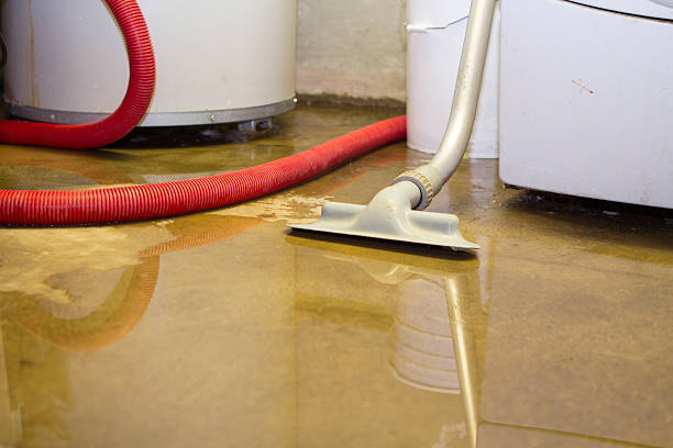 Best Emergency water damage restoration  in Maryland City, MD