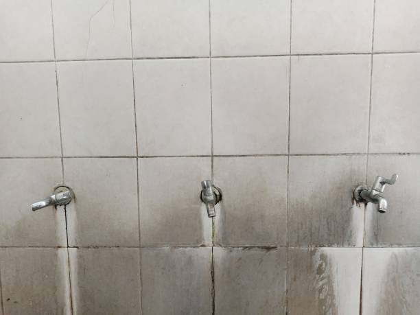 Best Sewage cleanup and water damage restoration  in Maryland City, MD