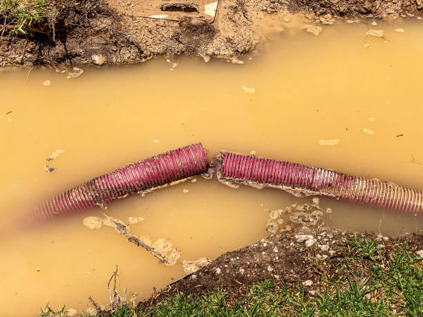 Best Local water damage restoration  in Maryland City, MD