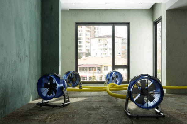 Best Flood restoration services  in Maryland City, MD